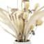 Honeybloom Dried Arrangement in White Vessel, 16"