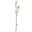 Willow Crossley White Magnolia Flower Branch, 32"