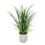 Ty Pennington Grass in Ceramic Pot, 30"