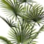 Palm Plant in Cement Pot, 31"