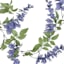 Lavender Wisteria Floral Garland, 72"