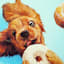 Donut Dog Canvas Wall Art, 12"
