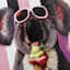 Gelato Koala Canvas Wall Art, 12x16