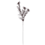 Crosby St. Maroon Pampas Grass Spray, 42"