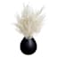 Crosby St. White Pampas Grass in Black Pot, 16"