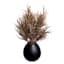 Crosby St. Brown Pampas Grass in Black Pot, 16"