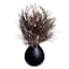 Crosby St. Dark Brown Pampas Grass in Black Pot, 16"