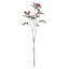 Willow Crossley Rose Hip Floral Spray, 27.5"