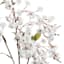 Willow Crossley White Double Baby's Breath Floral Spray, 33"