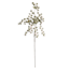 Willow Crossley Green Double Baby's Breath Floral Spray, 33"