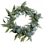 Willow Crossley Eucalyptus & Thistle Wreath, 24"
