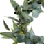 Willow Crossley Eucalyptus & Thistle Wreath, 24"