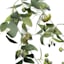 Willow Crossley Eucalyptus & Thistle Garland, 72"