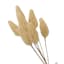 Honeybloom Cream Bunny Tail Bundle, 7"