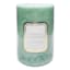 Providence Alder & Eucalyptus Scented Pillar Candle, 4x6