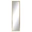 Gold Basic Leaner Mirror, 14x50