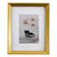 8x10 Matted to 5x7 Wall Frame, Gold