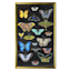 Glass Framed Butterfly Print Wall Art, 19x31