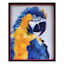 Glass Framed Parrot Wall Art, 17x21