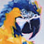 Glass Framed Parrot Wall Art, 17x21
