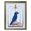 Glass Framed Parrot Print Wall Art, 13x17