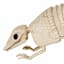 Halloween Armadillo Skeleton, 12.5x6