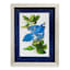 6x8 Blue Jay Framed Art