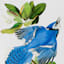 6x8 Blue Jay Framed Art