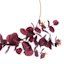 Honeybloom Maroon Eucalyptus Ring, 14"