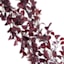 Honeybloom Eucalyptus Garland with Seed, 72"