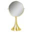 Funnel 2 Way Mirror Brushed Gold
