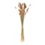 Blush Pink Bunny Tails Bundle, 28"