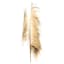 Crosby St. 3-Piece Natural Uva Stalk Bunch