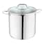 Stainless Steel Stockpot with Glass Lid, 16qt