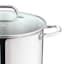 Stainless Steel Stockpot with Glass Lid, 16qt