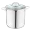 Stainless Steel Stockpot with Glass Lid, 12qt