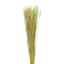 Natural Bearded Tarwe Bundle, 26"