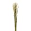 Willow Crossley Natural Oats Bundle, 26"