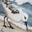 Ty Pennington Framed Sandpipers Print Wall Art, 20x16