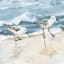 Ty Pennington Framed Sandpipers Print Wall Art, 20x16