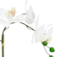 White Real Touch Orchid in Cement Pot, 13.5"