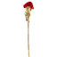 Willow Crossley 3-Stem Red Celosia Bunch, 24"