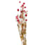 Willow Crossley Pink Globe Amaranth Bunch, 24"