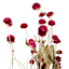 Willow Crossley Purple Globe Amaranth Floral Spray, 2oz