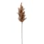Brown Astilbe Stem, 36"
