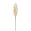 Cream Astilbe Stem, 36"