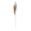 3-Piece Natural Mini Pampas Grass, 29"