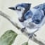 Providence Bird Canvas Wall Art, 11x14