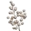 Champagne Glittered Berry Stem, 14"