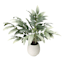 Tracey Boyd Lemon Leaves in Pot, 24"